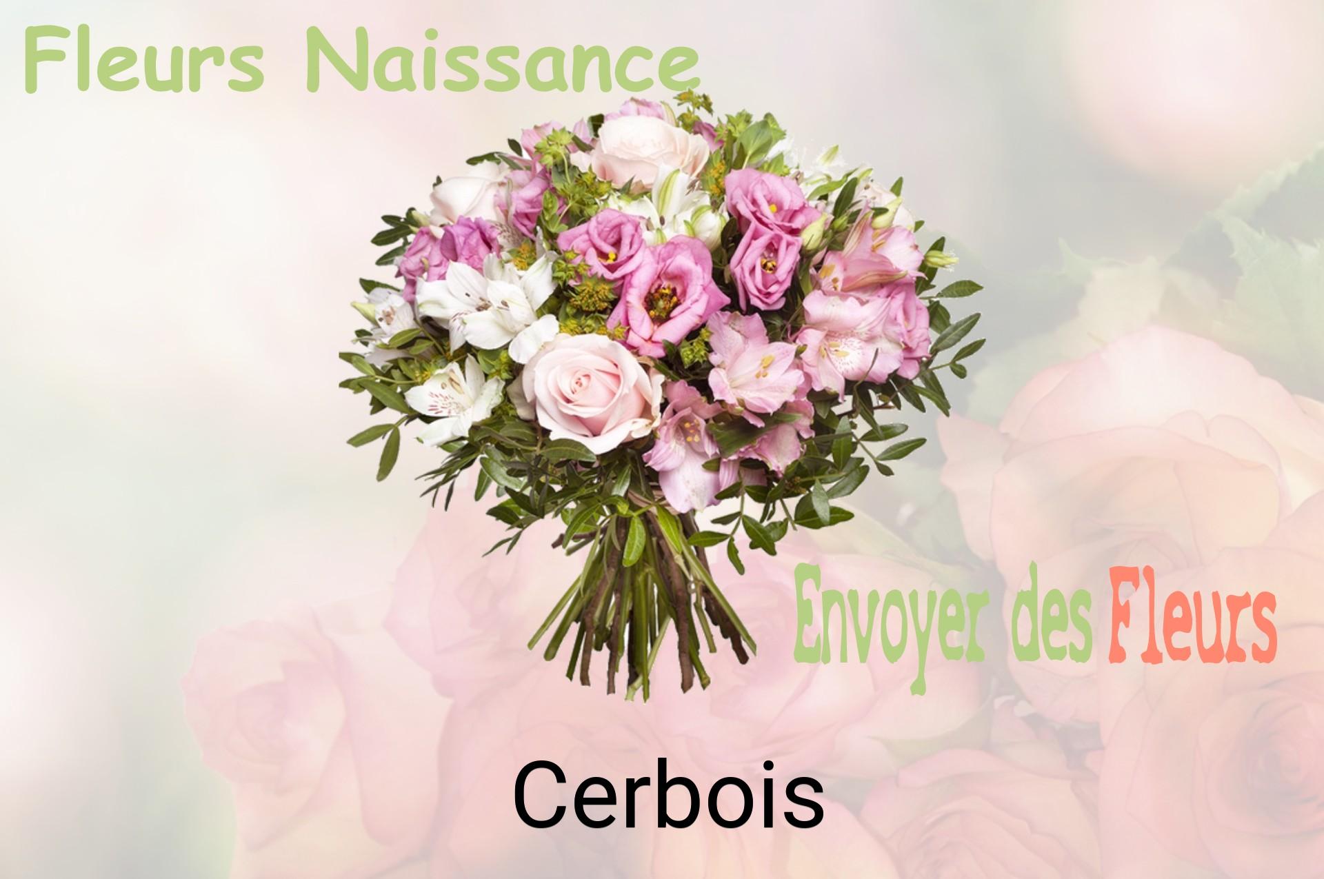 Bouquet de fleurs de naissance livré à Cerbois