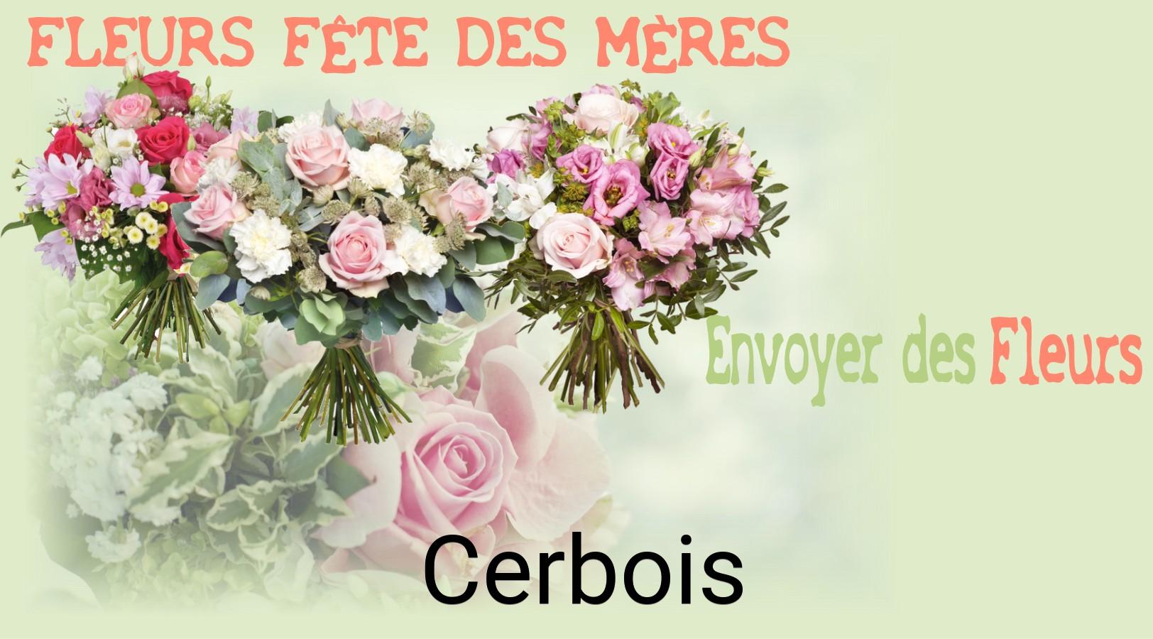 Bouquet de Fête des Mères livré à Cerbois